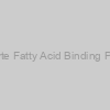 Human Adipocyte Fatty Acid Binding Protein ELISA kit